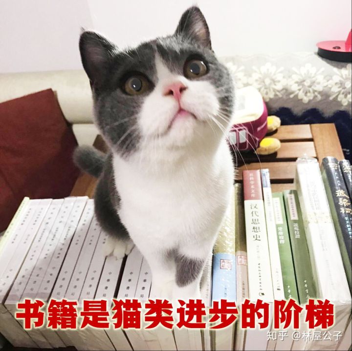 中华书局古籍推荐,古籍读本推荐