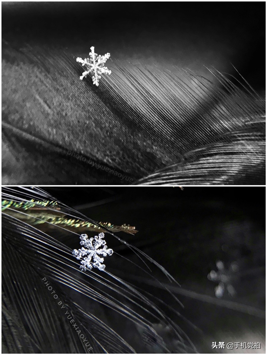 手机拍摄雪花的正确方法,手机拍雪花微距