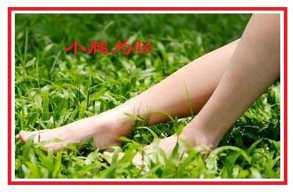 一些比较生僻难懂的成语,常见词语和成语学习