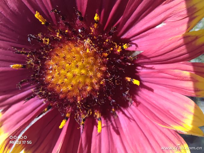 小白测评魅族17深度体验,魅族17显示5g网络还是4g