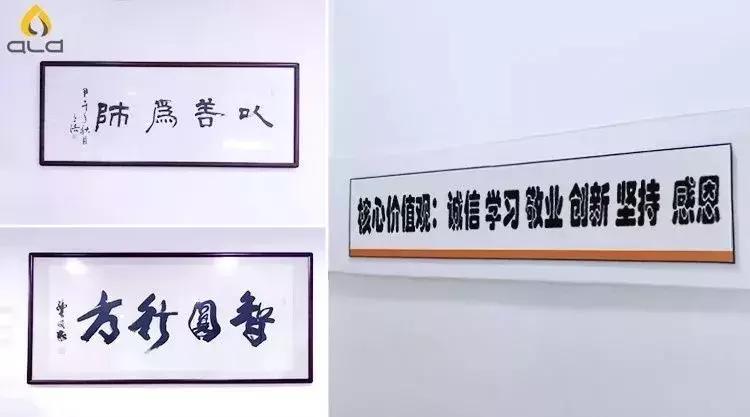 卓力能雾化产品,卓力能ald是什么意思