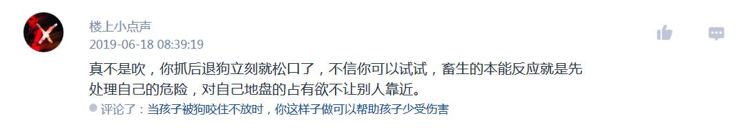 告诉孩子被狗咬怎么自救,如果小孩被狗咬怎么自救