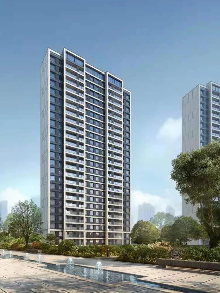 洋湖2025最新规划,洋湖发展