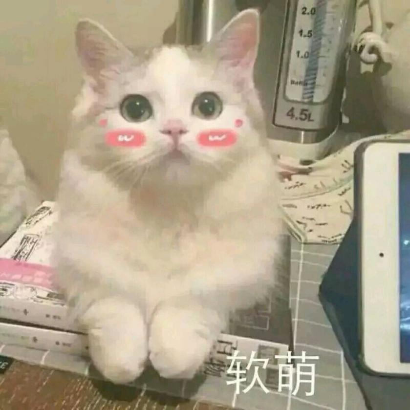 那些少女心满满的身体乳，包装好看气味佳，好闻到都想一口吃掉！