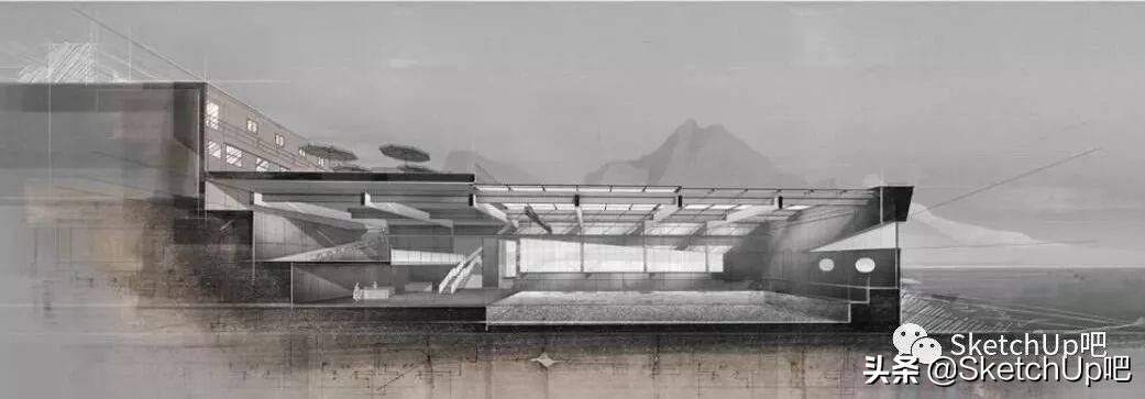 猛虎落泪指的什么动物打一生肖,猛虎落泪代表什么生肖打一动物