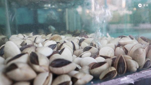 广东人最爱的啫啫煲,广东人最爱的砂锅