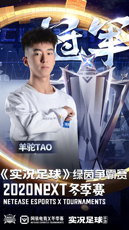 实况足球重返绿茵天梯赛,实况足球绿茵总决赛