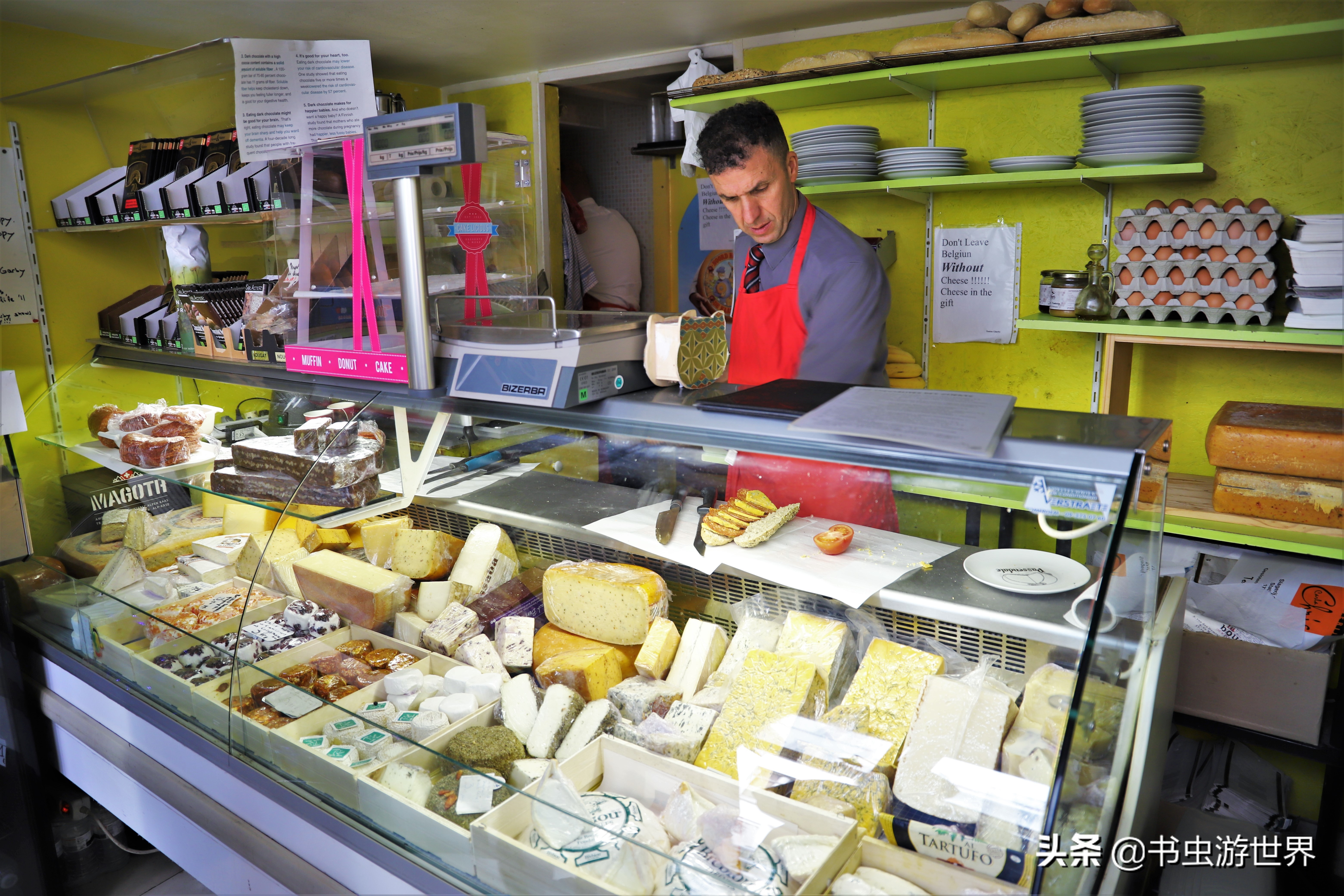 同样是布偶猫差别咋就这么大,布鲁和布鲁