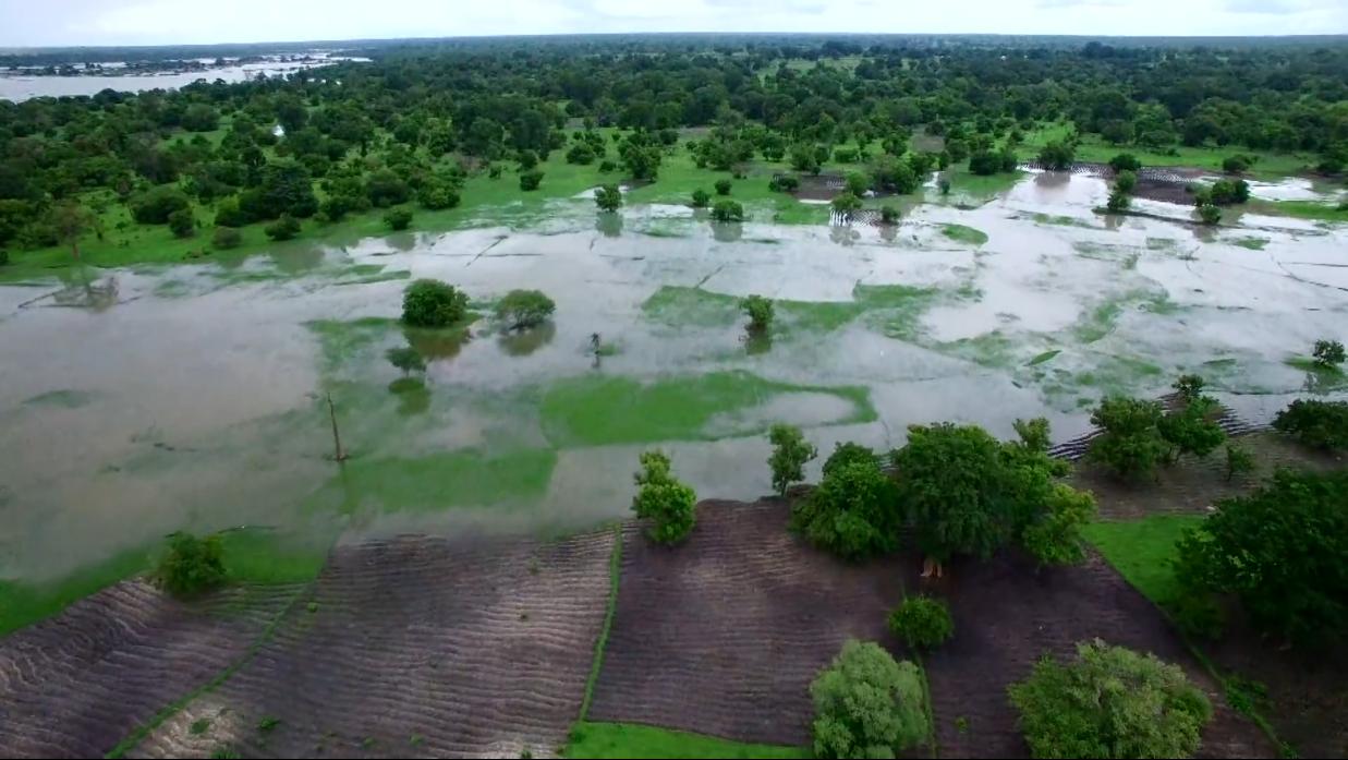 非洲小哥淘来法国二手车开出租，280公里只要47元，但要开12小时