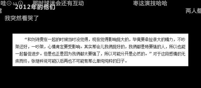 地表最强12人张继科刘诗雯,15年世锦赛张继科和刘诗雯