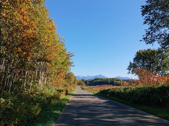 北海道登别到美瑛町需多久,日本北海道美瑛川的雪景