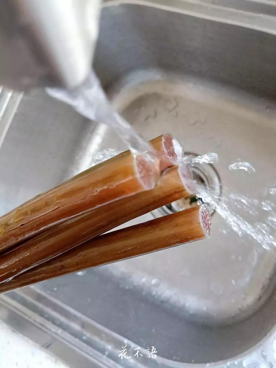 睡莲9月的养护,睡莲的养护方法文字