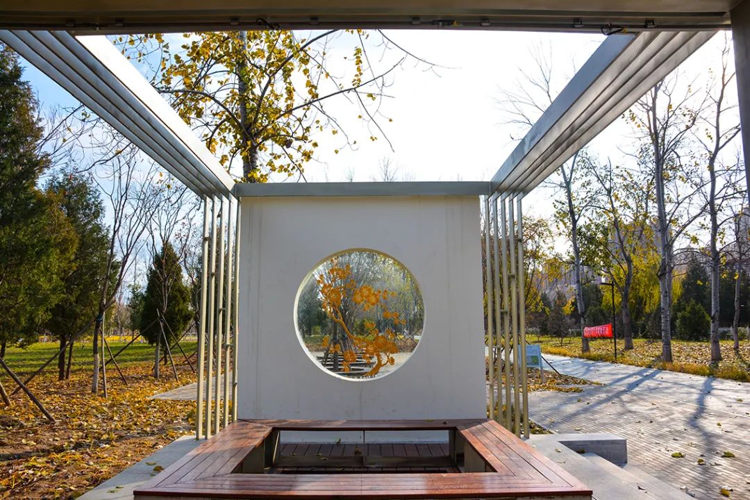 北京新开40个公园在哪里,北京十佳公园