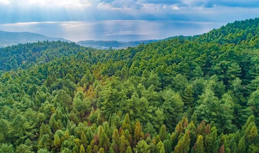 等一个人陪我去湛江,等一个人陪我去旅游