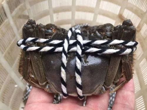 选购海鲜要注意哪些,购买海鲜小常识