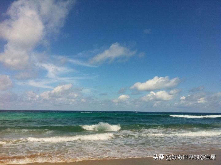 养鱼怎么知道硝化细菌养好了,培养硝化细菌的时候可以养鱼吗