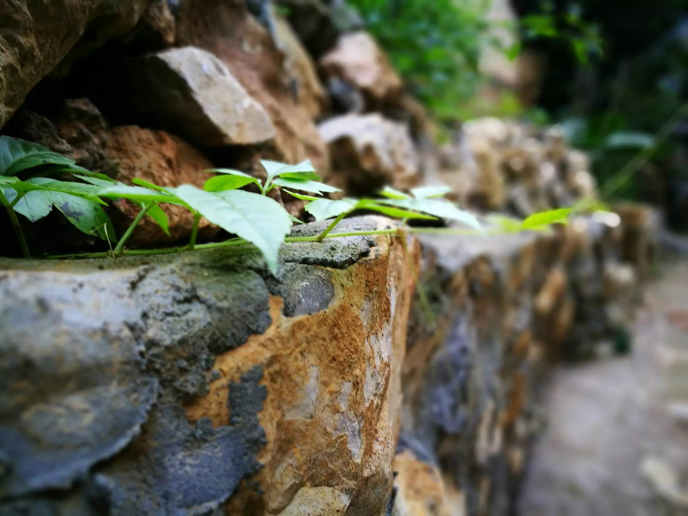 陌上的田园·王家湾村