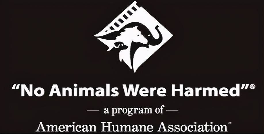 十年前被骂的电影有哪些,当年被人骂烂的电影