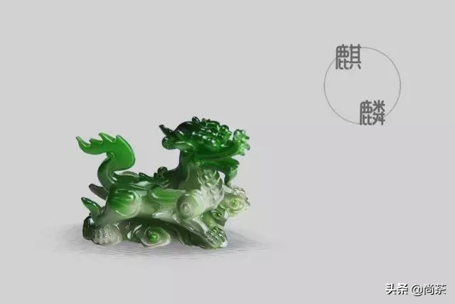 茶宠直播福袋,最好的10种茶宠