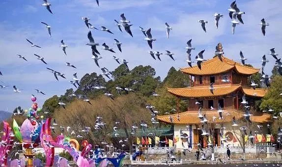 昆明最值得一去的景点,昆明元旦热门景点