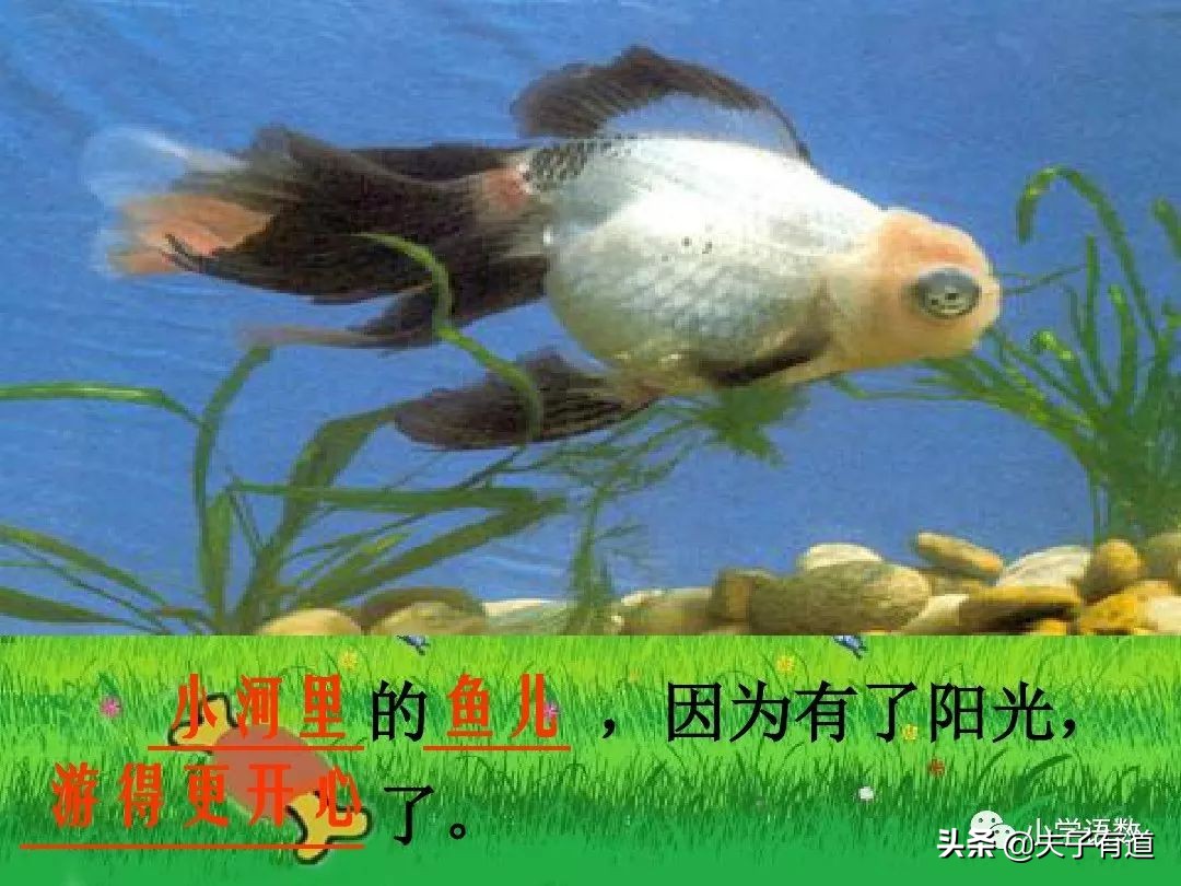 一年级语文下册语文园地二展示台,部编版一年级下册语文园地二练习