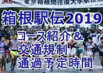 箱根驿传的魅力,箱根驿传的传播度