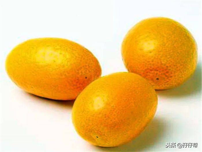 怀上双胞胎到底是幸运还是不幸,有一种生不如死的痛