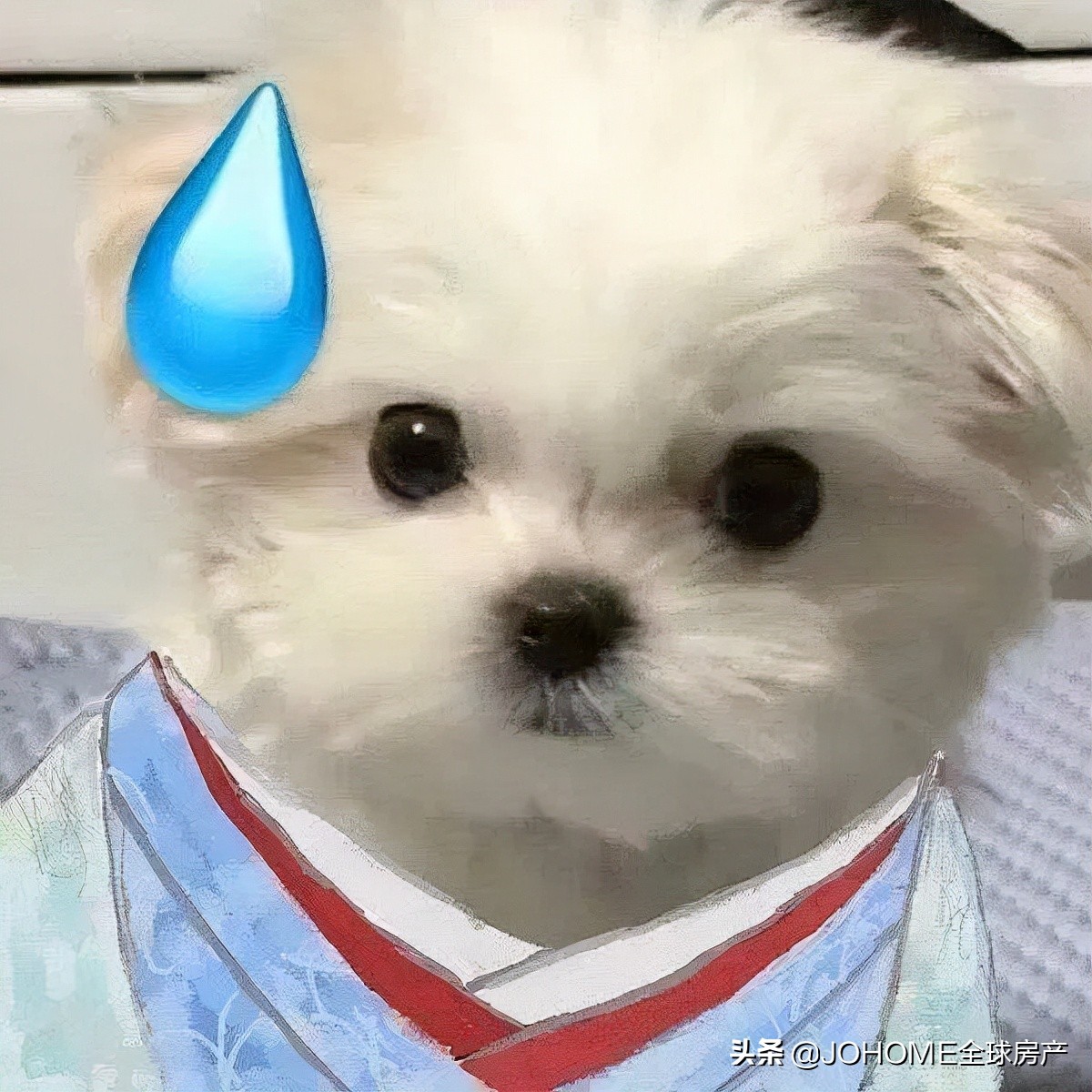 怎么识别留学圈渣男,怎么区分留学生渣女