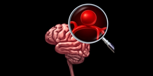 肠道菌群增加心血管疾病,肠道菌群对肿瘤的抑制作用