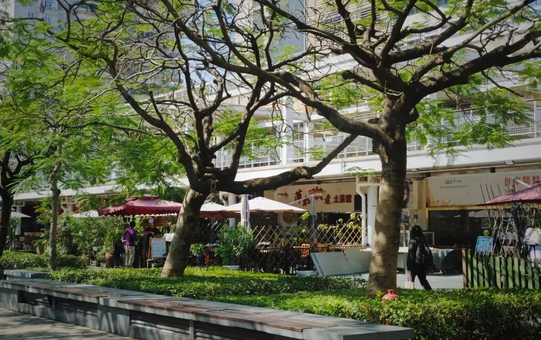 最近的华侨城,独一无二华侨城