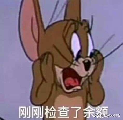 零食罐和主食罐吃哪个,主食罐零食罐