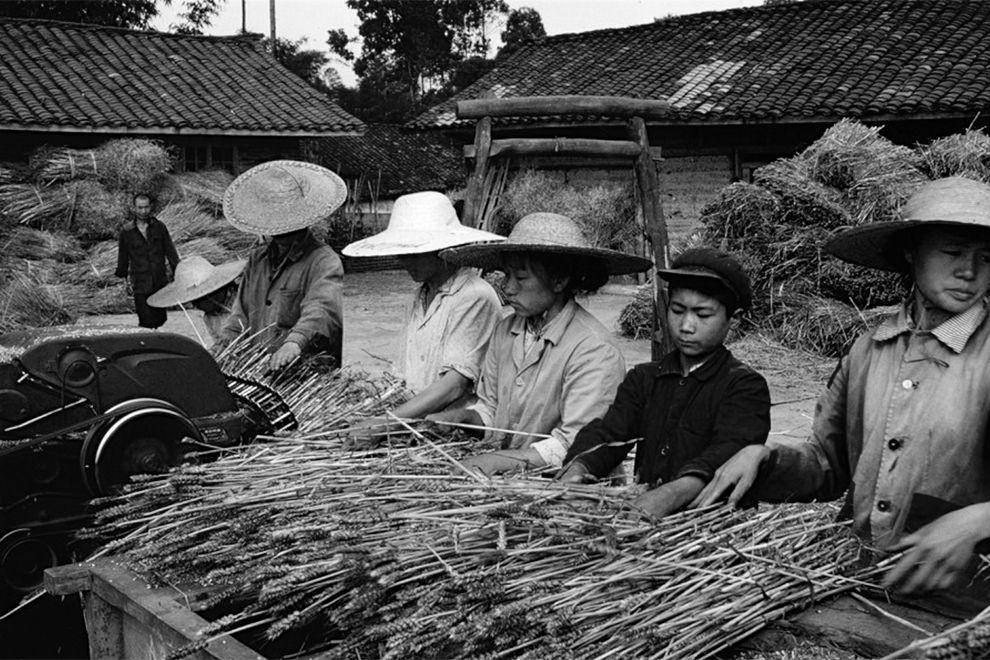 中国筷子的长度为何是七寸六分,筷子的长度为什么是七寸六分寓意