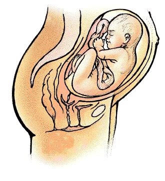 分娩知识学习的重要性,分娩生育知识大全