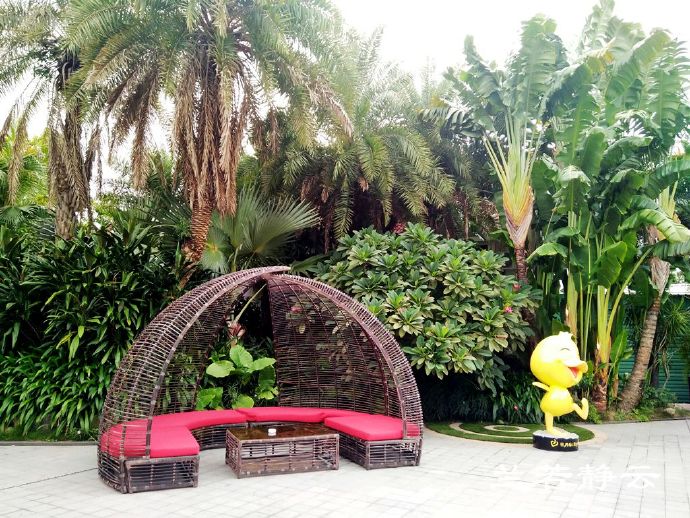 厦门日月谷温泉酒店预订价格,厦门日月谷温泉酒店套餐