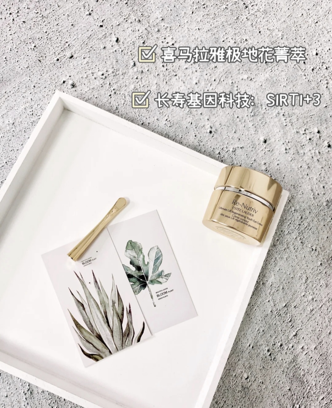 抗老眼霜推荐去细纹抗皱第一名,美妍世家抗老紧致眼霜