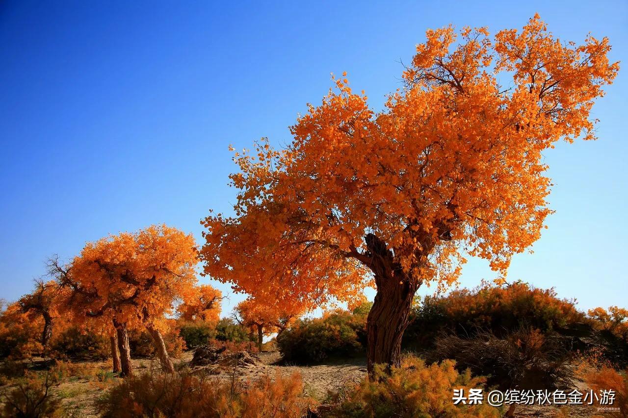 一线多游个性化旅游,坐旅游专列旅游的优点与缺点