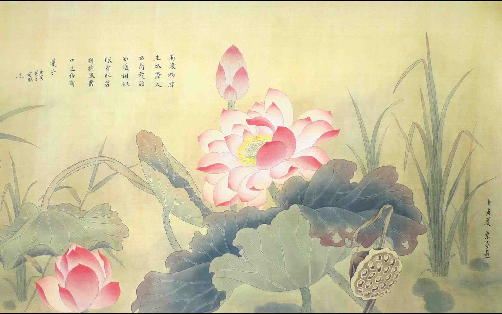 100首最美古诗情诗,100首完整的最美古诗词下载