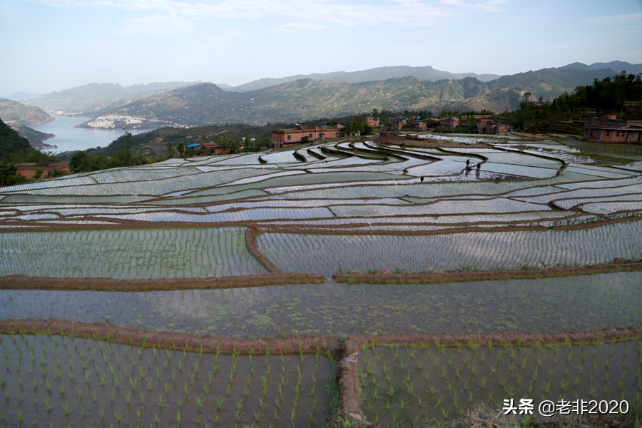 全球第一立佛是谁,世界第一立佛在哪里