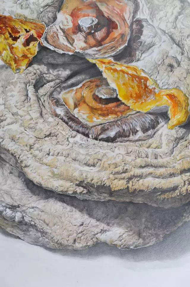 央美vs985,鲁美附中精微素描作品欣赏