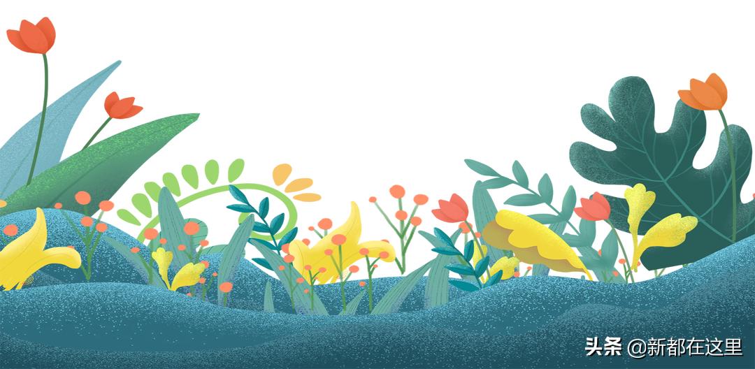 新都乘坐地铁,新都怎么乘坐公交车便宜点