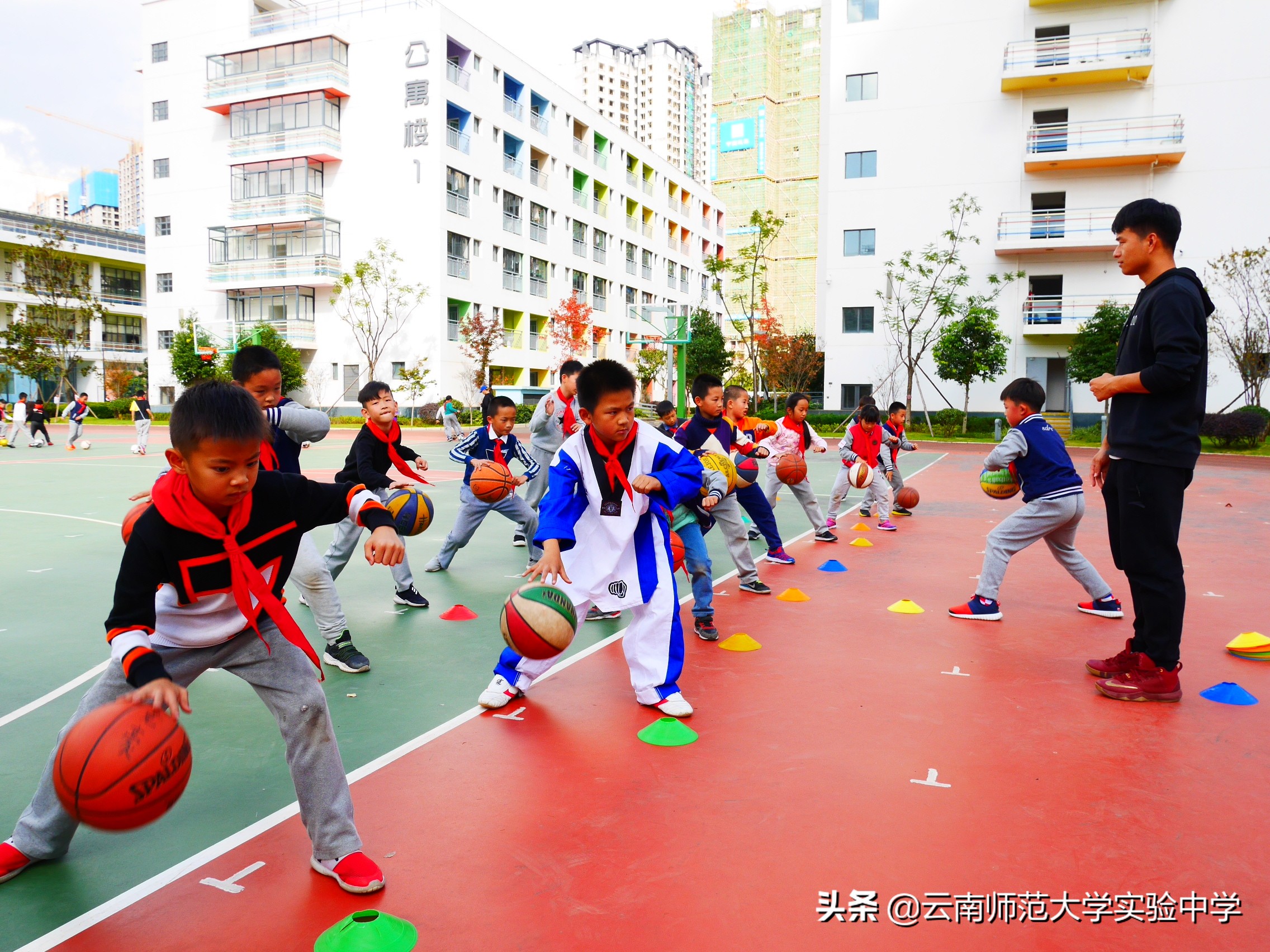 云南师大实验小学昆明湖校区,云南师大实验中学昆明湖官网