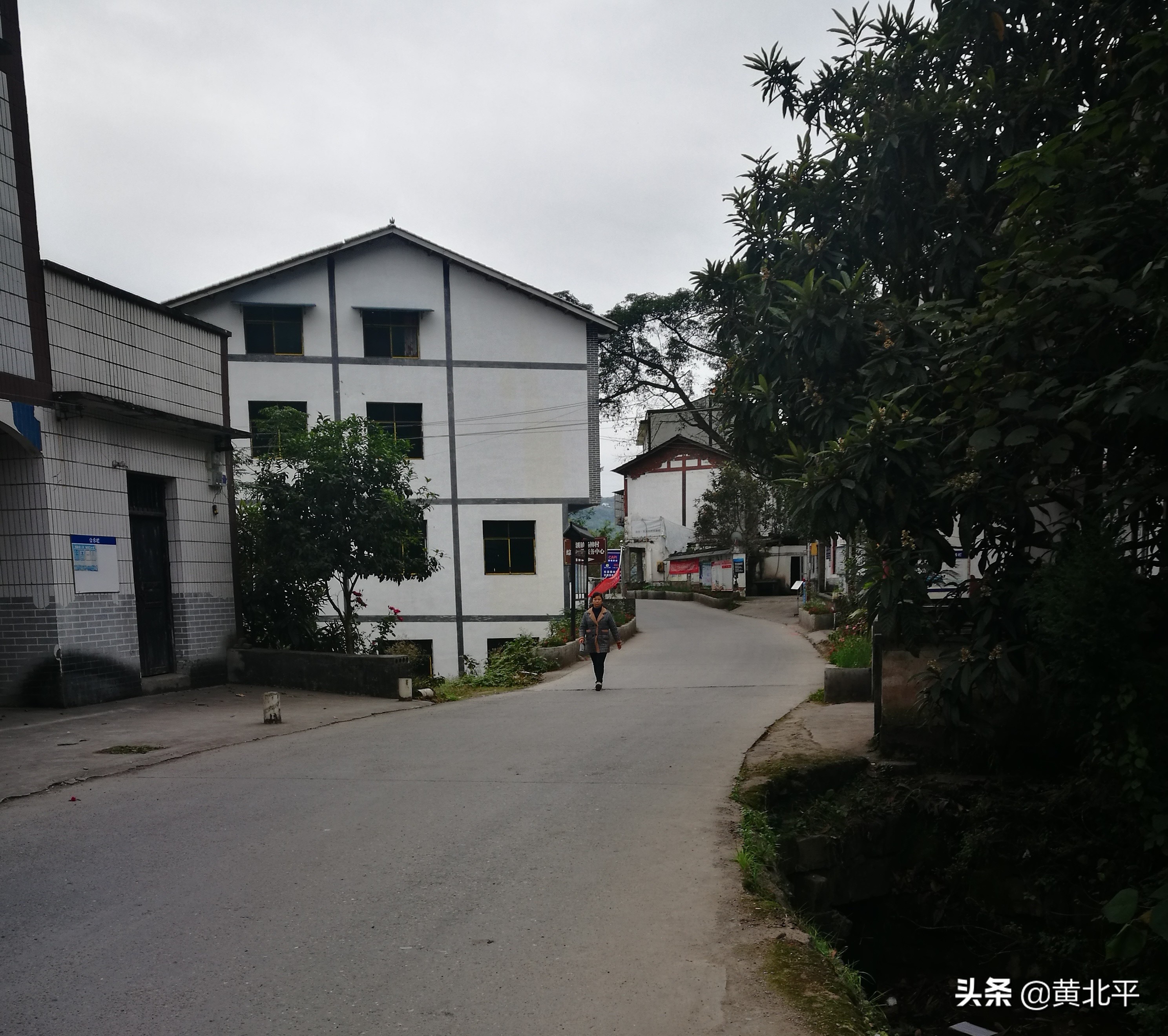 重庆市綦江区紫荆镇,重庆綦江东溪镇紫街新闻