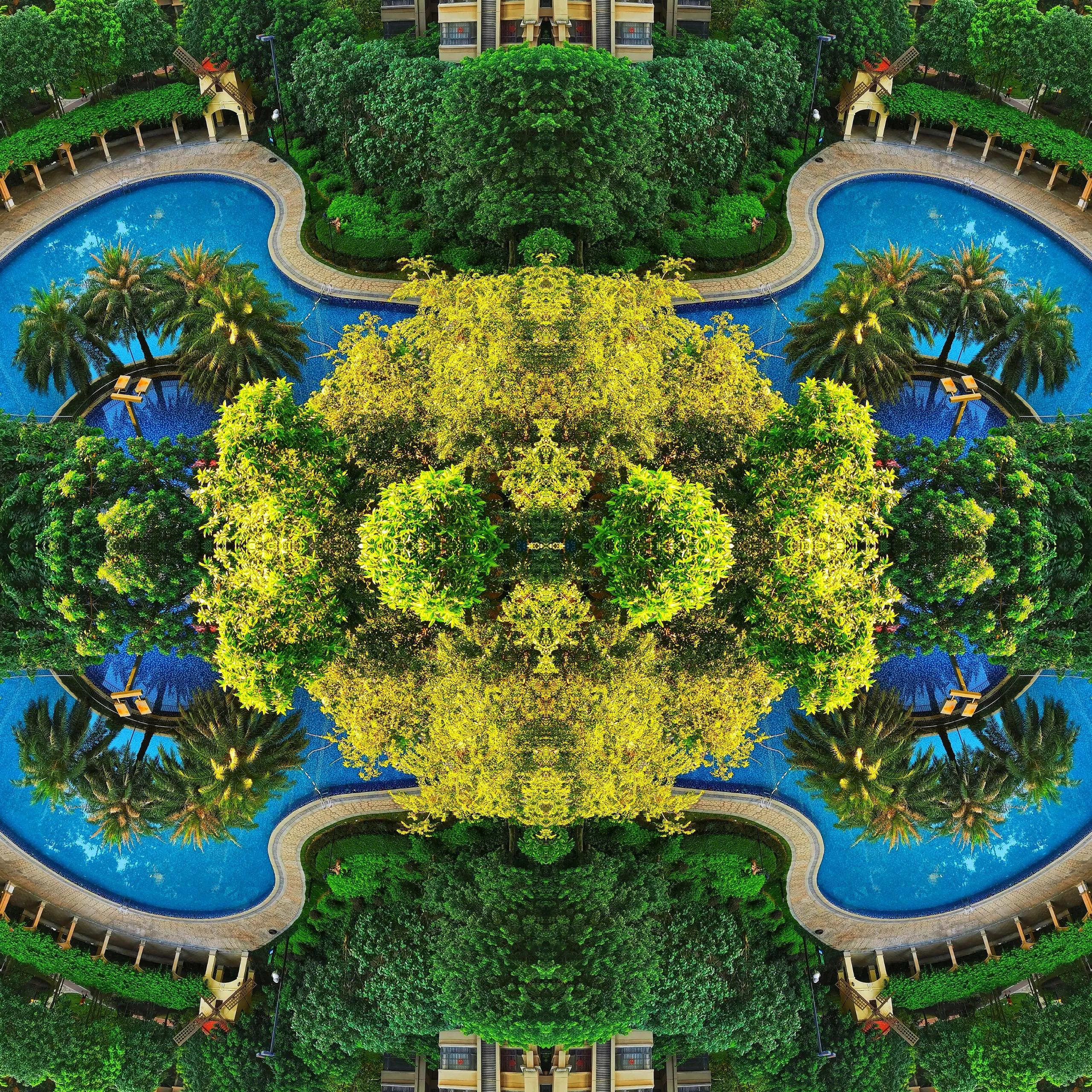 澶╃┖涔嬮暅鍞編鍥剧墖,鐩哥墖澶勭悊澶у笀