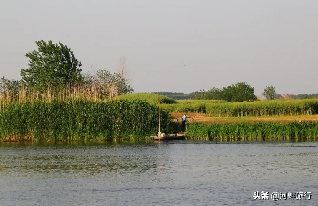 江苏省兴化市垛田,兴化市到千垛油菜花景区怎么走