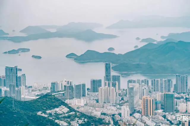 深圳花海公园地址在哪里,深圳中心河公园花海