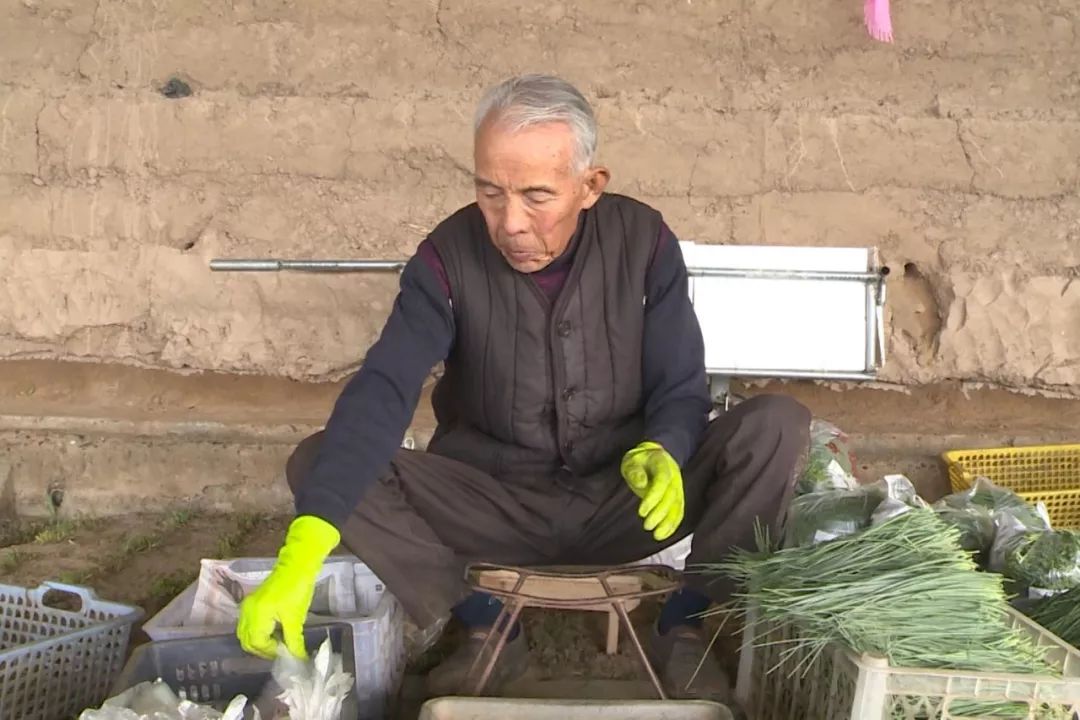 高台县农业种植,高台打造种养循环绿色生态农业