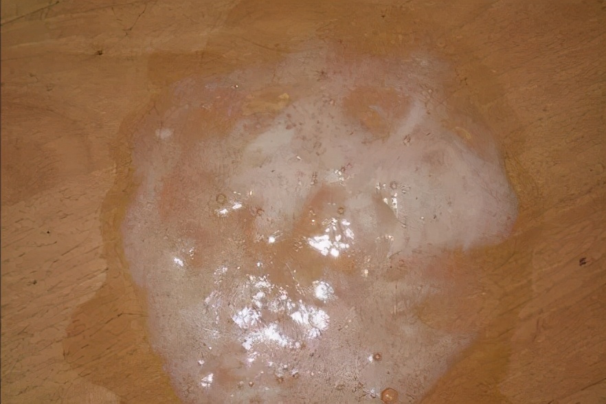 狗狗为什么一直有呕吐的现象,狗狗呕吐物是黄色糊状物怎么解决