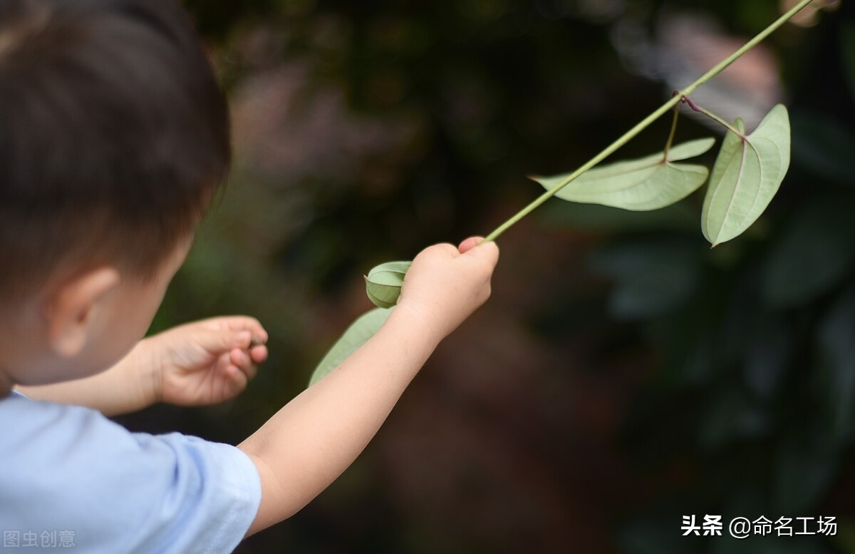 男孩名字气度不凡,郑姓男孩起名100分的名字大全集
