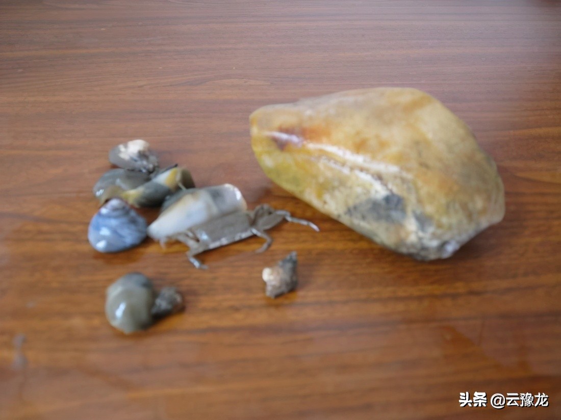 江苏吕四游：古镇海滨有风情