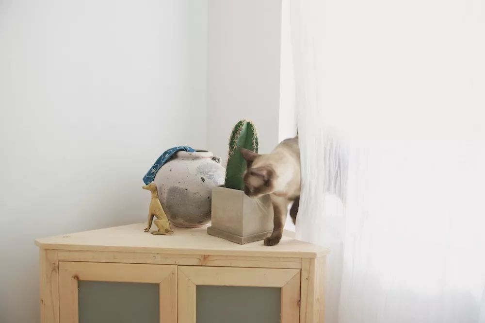 用水泥砌橱柜,用粘土捏一个好看的柜子